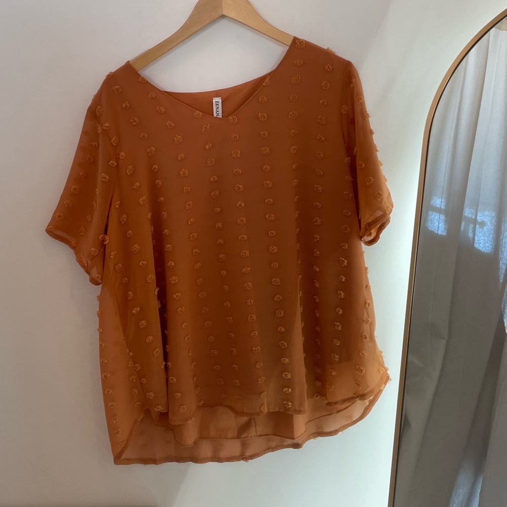 NWT Boutique Curvy Plus Size Womans Salmon Colored Shirt Sleeve Blouse